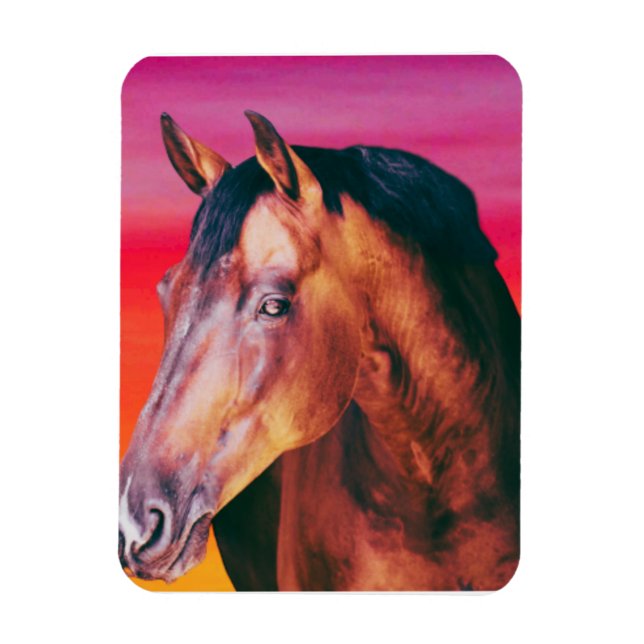 Imán Gradiente de caballo bayo    (Vertical)