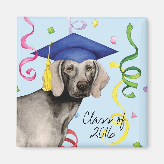 Imán Graduado de Weimaraner (Frente)