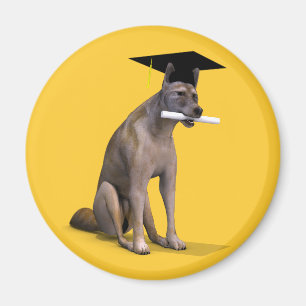 Imán Graduate Coyote