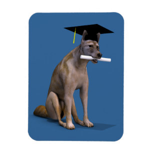 Imán Graduate Coyote