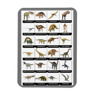 Imán Gráfico de dinosaurios