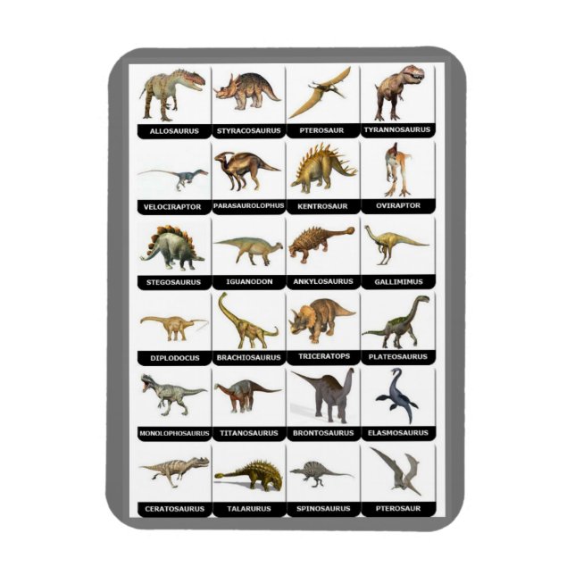 Imán Gráfico de dinosaurios (Vertical)