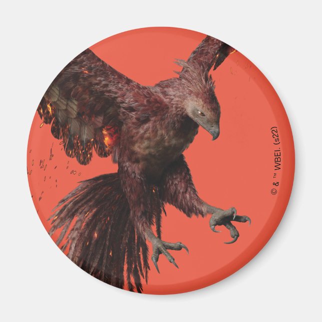 Imán Gráfico de Fénix Flying (Frente)