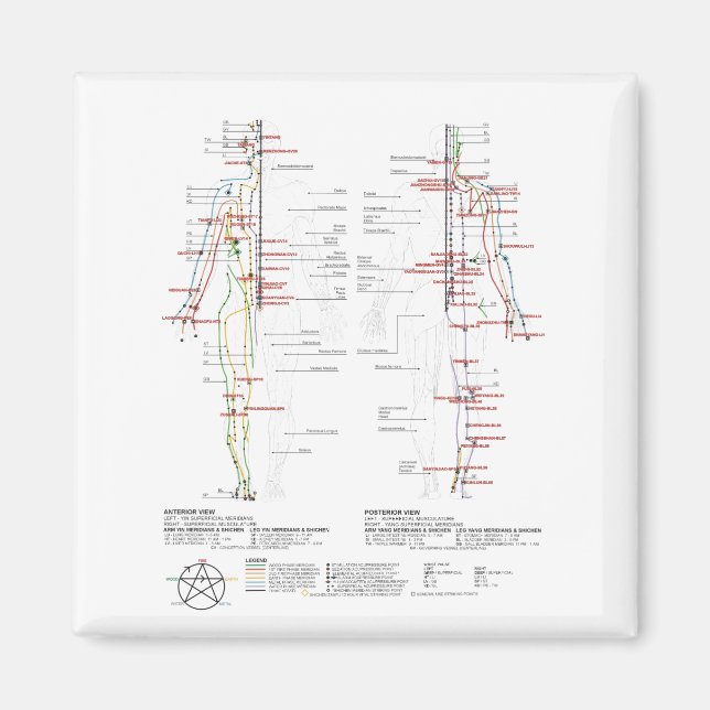 Imán Gráfico de meridianos humanos (Frente)