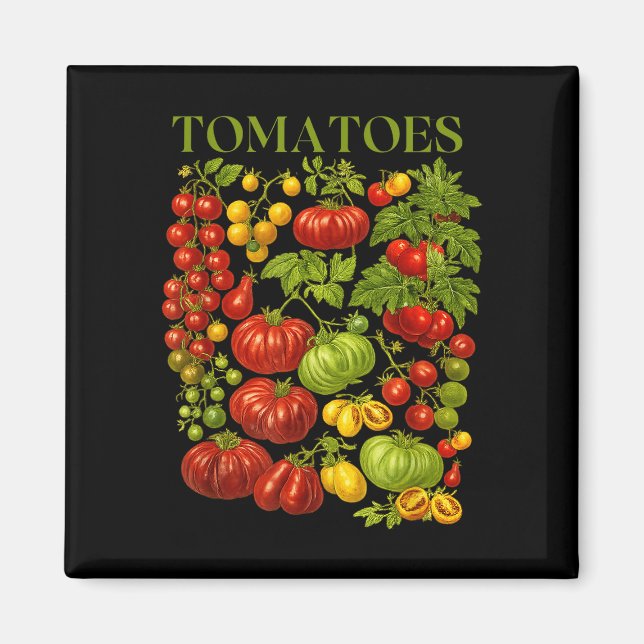 Imán Gráfico de tomate vintage retro verano vegetal (Frente)