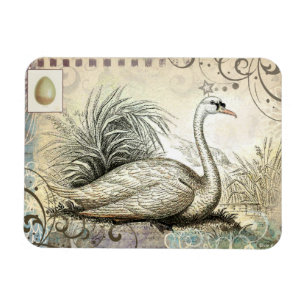 Imán Gráfico del cisne