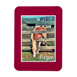 Imán Gram Deluxe Edition Magnet