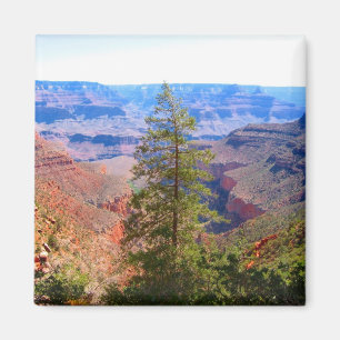 Imán gran árbol de cañón