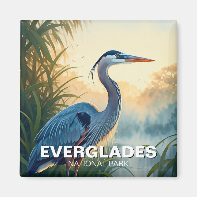 Imán Gran Azul Heron Everglades Parque Nacional Florida (Frente)