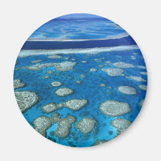 Imán Gran Barrera de Reef Magnet