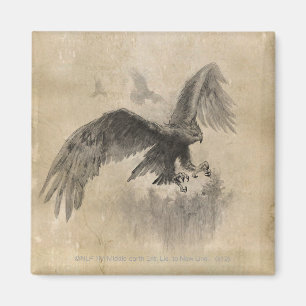 Imán Gran bosquejo de Eagles