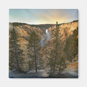 Imán Gran Cañón de Yellowstone, Yellowstone
