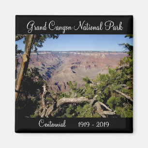 Imán Gran Centenario del Parque Nacional del Gran Cañ
