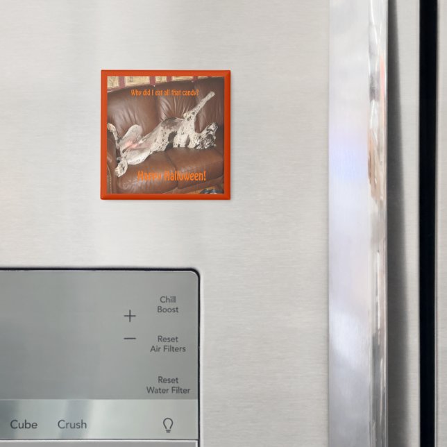 Imán Gran Dane Ate Demasiado Halloween Candy Magnet (In situ (nevera))