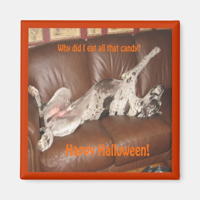 Imán Gran Dane Ate Demasiado Halloween Candy Magnet (Frente)