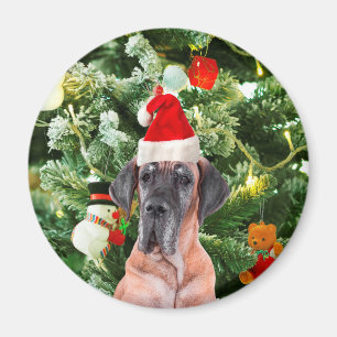 Imán Gran dane con árbol de Navidad Cajas de regalo San