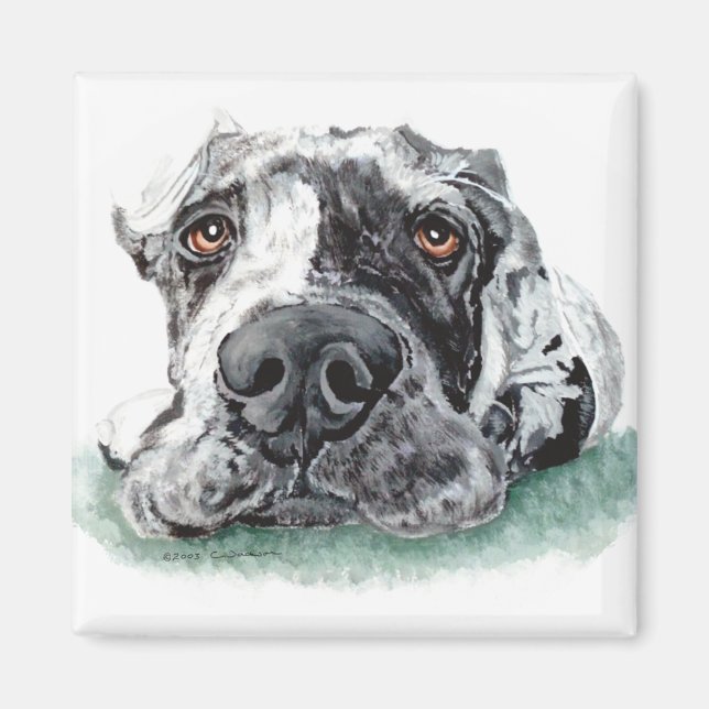 Imán Gran dane con la médula (Frente)