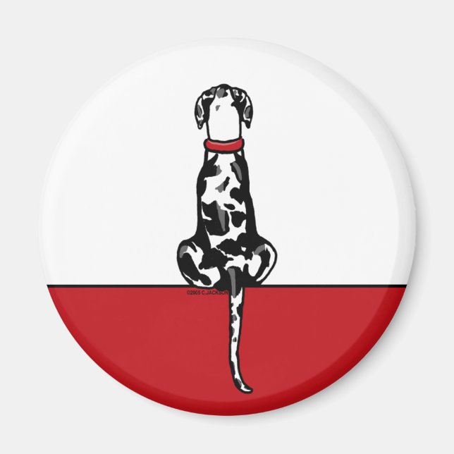 Imán Gran Dane Sit Harle UC (Frente)