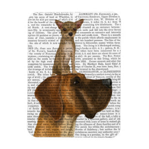 Imán Gran dane y chihuahua