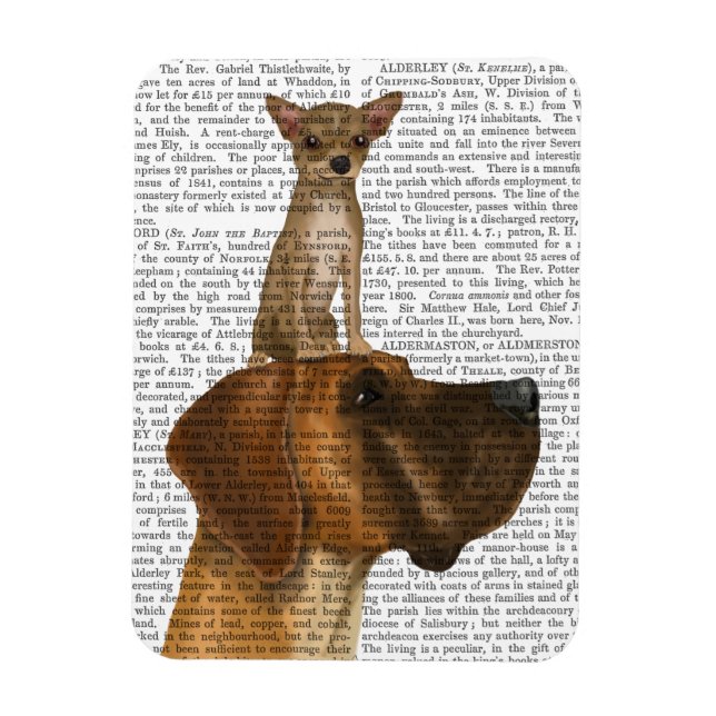 Imán Gran dane y chihuahua (Vertical)