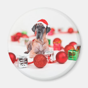 Imán Gran Danés con Adornos de Navidad Regalos