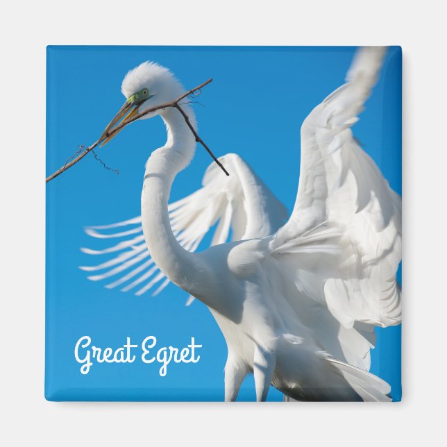 Imán Gran Egret (Frente)
