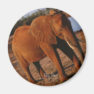 Imán Gran elefante rojo