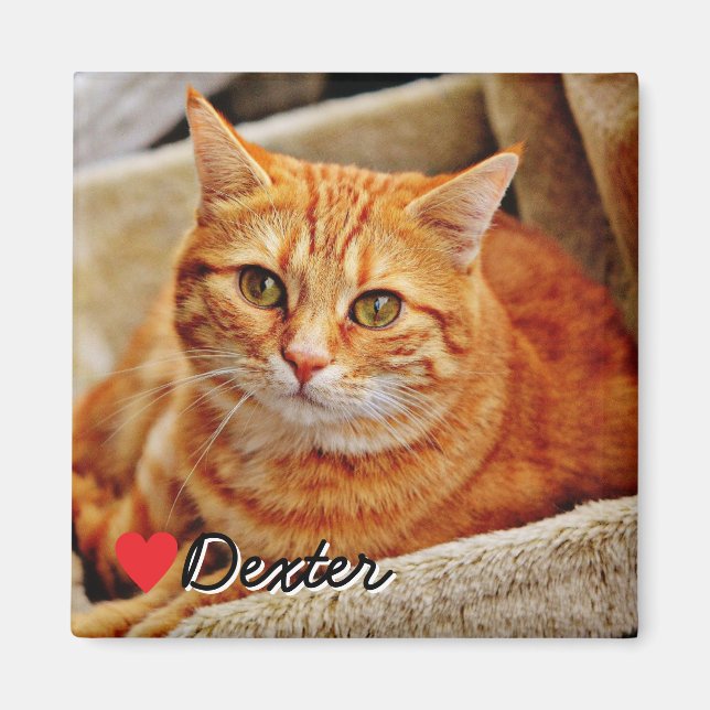 Imán Gran foto de mascota personalizada (Frente)