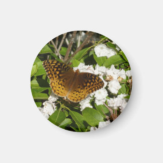 Imán Gran Fritillary española sobre el Laurel de la Mon