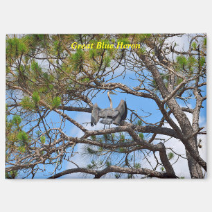 Imán Gran garza azul