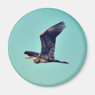 Imán Gran Garza Azul
