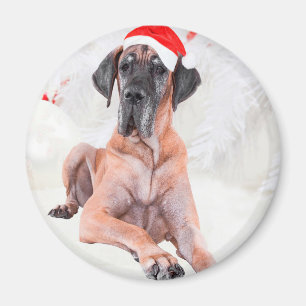 Imán Gran Gorra de perro danés Feliz Navidad