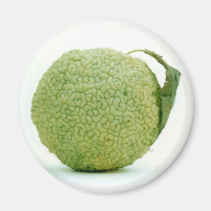 Imán Gran Manzana Verde