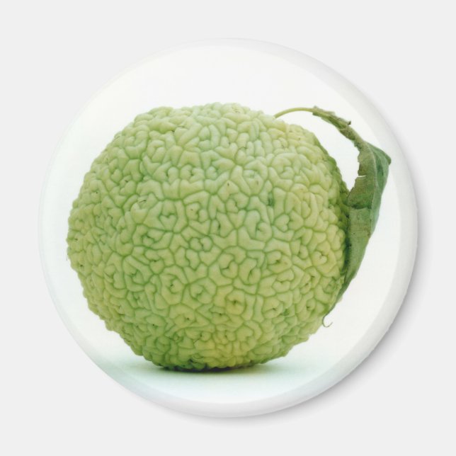 Imán Gran Manzana Verde (Frente)