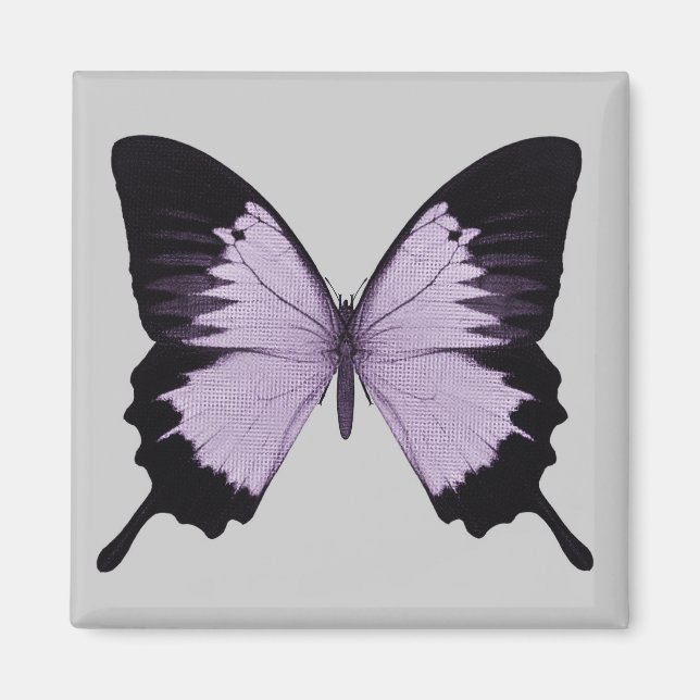 Imán Gran Mariposa Morada y Negra (Frente)