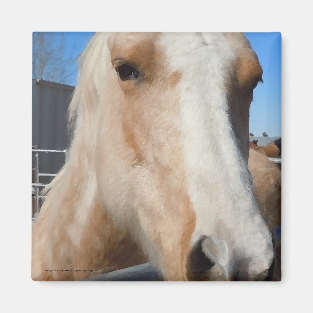 Imán Gran Ojos Oscuros Ojos Dorados Palomino Pony (Frente)