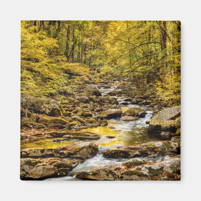 Imán Gran Parque Nacional de Montañas Ahumadas. Gran Cr (Frente)