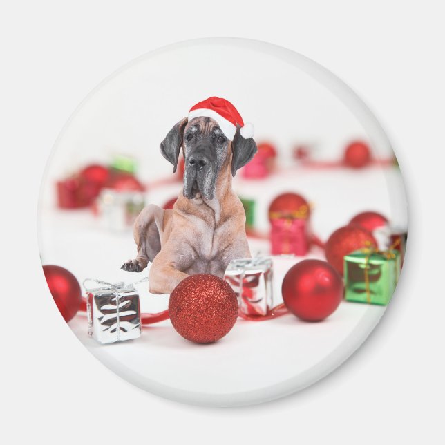 Imán Gran perro danés con regalos de adornos navideños (Frente)