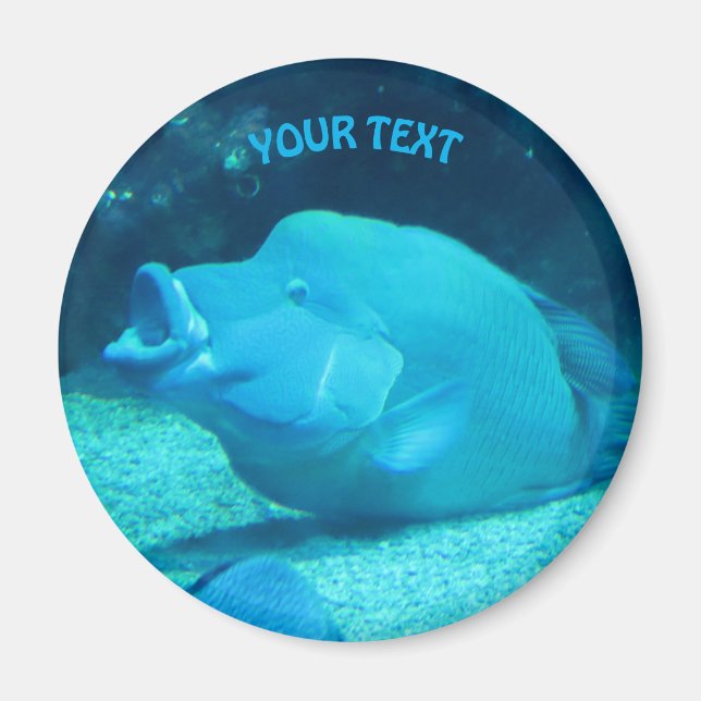 Imán Gran pez azul (Frente)