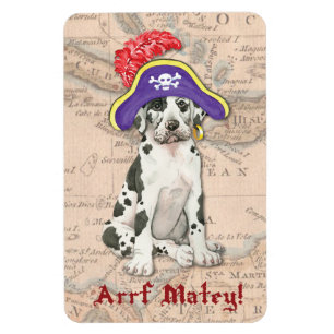 Imán Gran pirata de danés