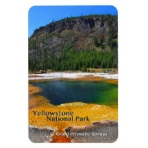 Gran Primavera ~ Yellowstone, Wyoming