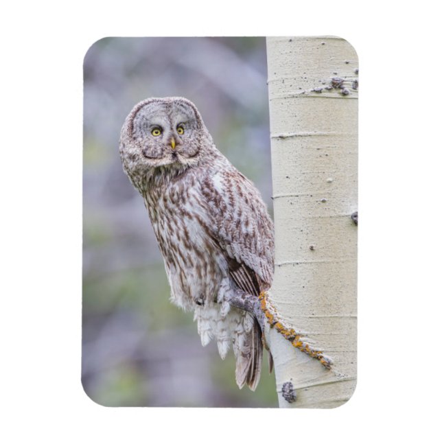 Imán Gran rama de árbol gris (Vertical)