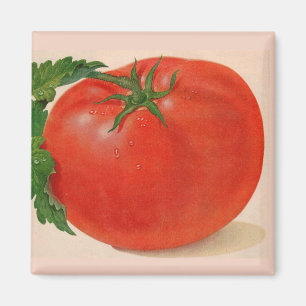 Imán gran tomate jugoso
