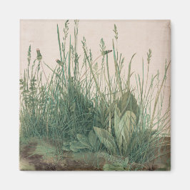 Imán Gran trozo de turf (por Albrecht Dürer)