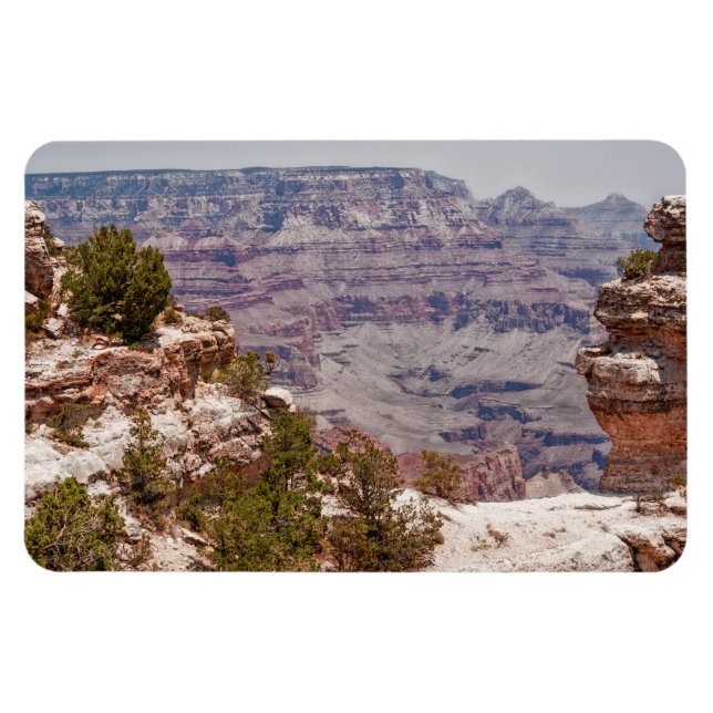 Imán Gran visión del pato (Horizontal)