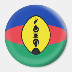 Imán grande de 3 pulgadas - bandera de Nueva