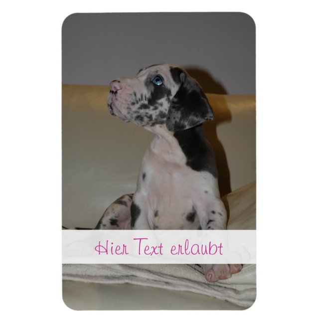 Imán Grandes daneses (Vertical)