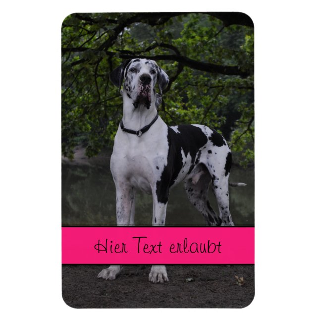 Imán Grandes daneses (Vertical)