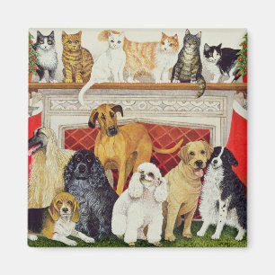 Imán Grandes expectativas