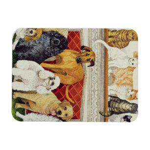 Imán Grandes expectativas